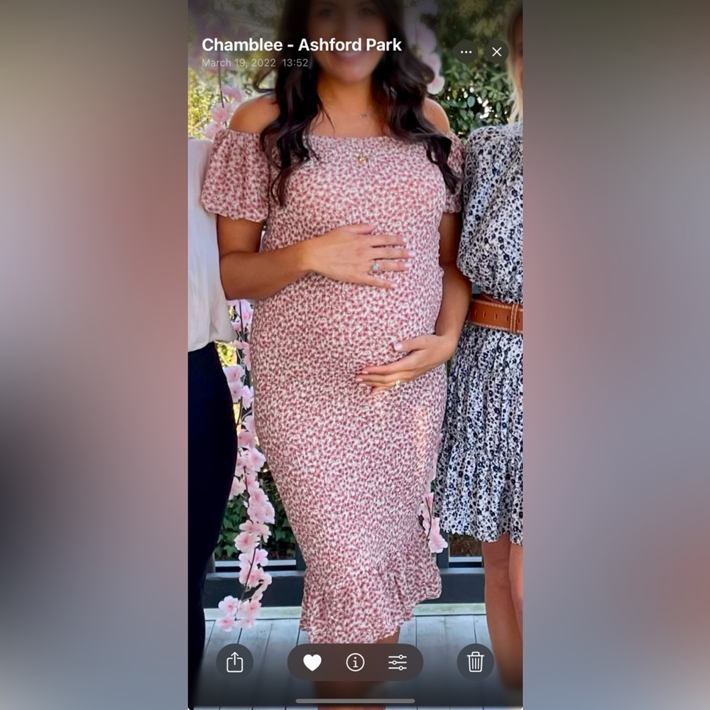 Petal and Pup - baby shower dress - maternity dress